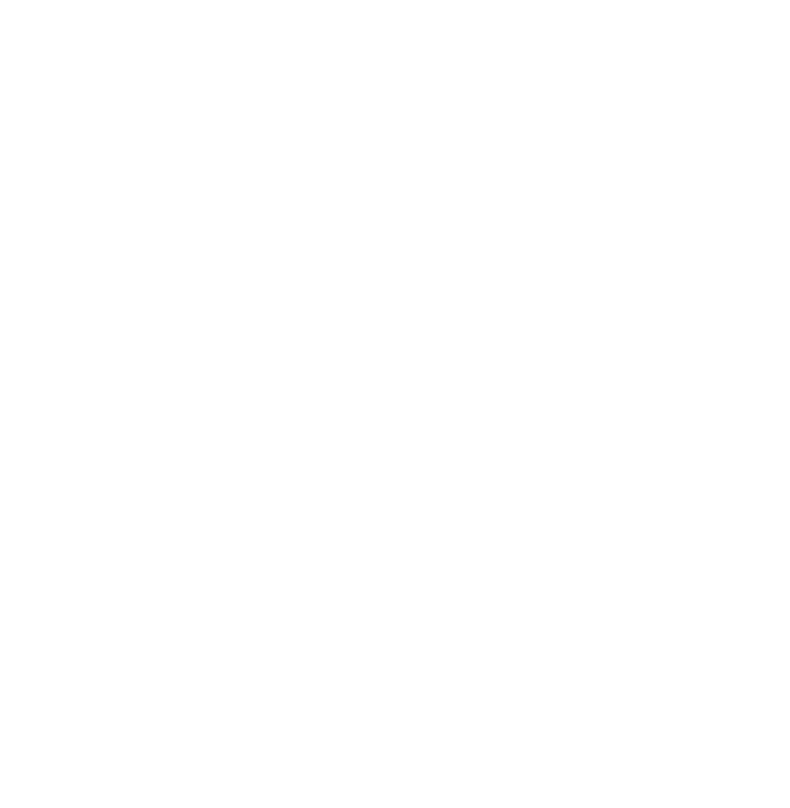 riessposition Signet